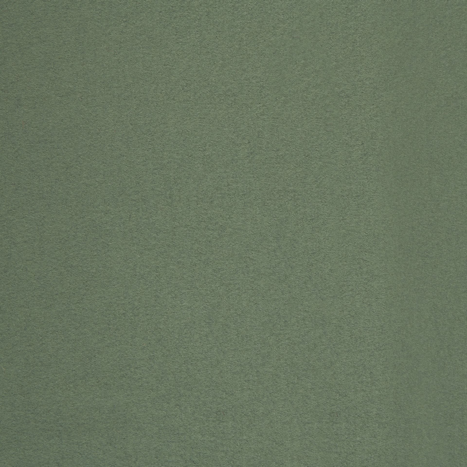 Dusty Mint Wollwalk - 100% Schurwolle - Mulesingfrei