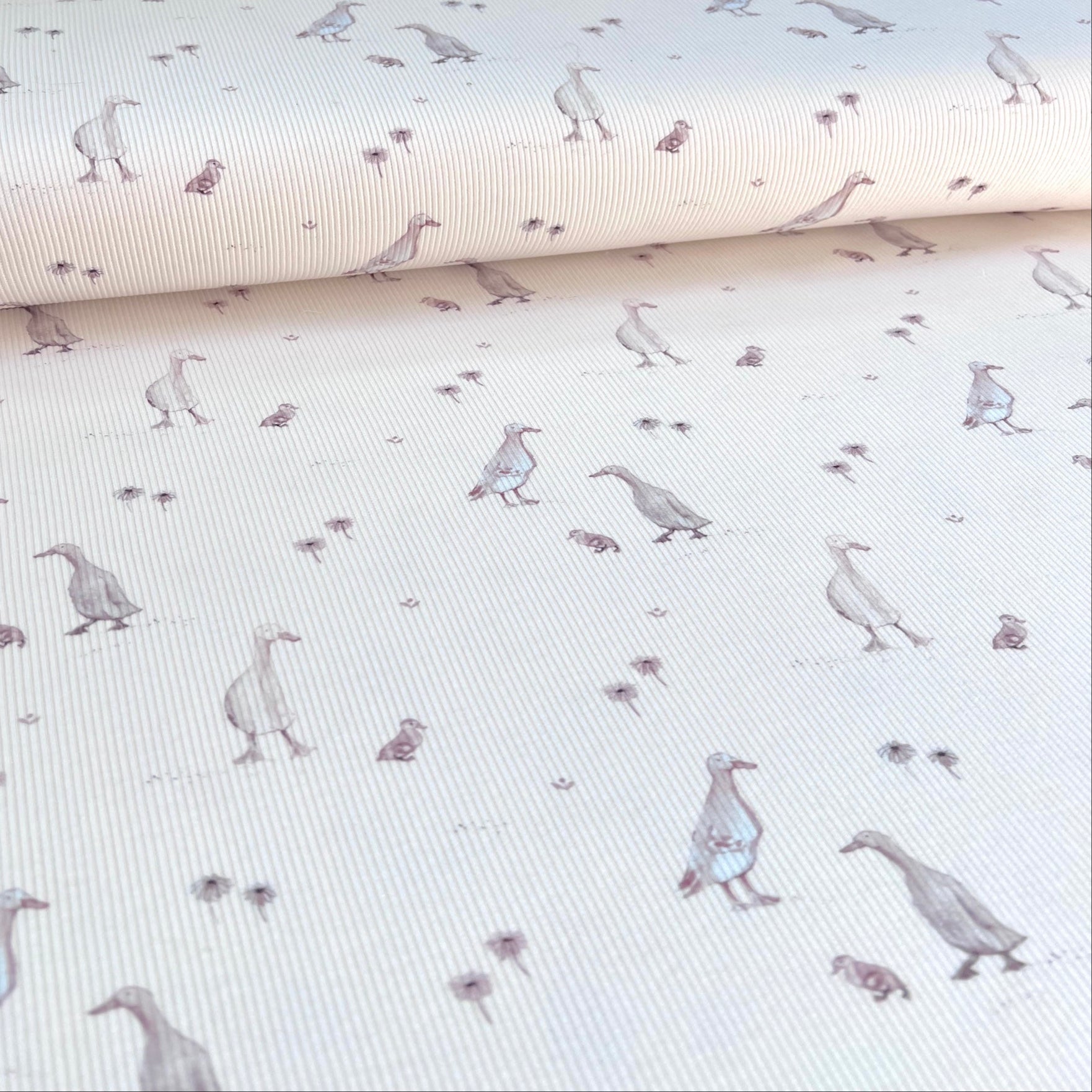 Little Goose - Premium Baby Rib Jersey - Gänse Print