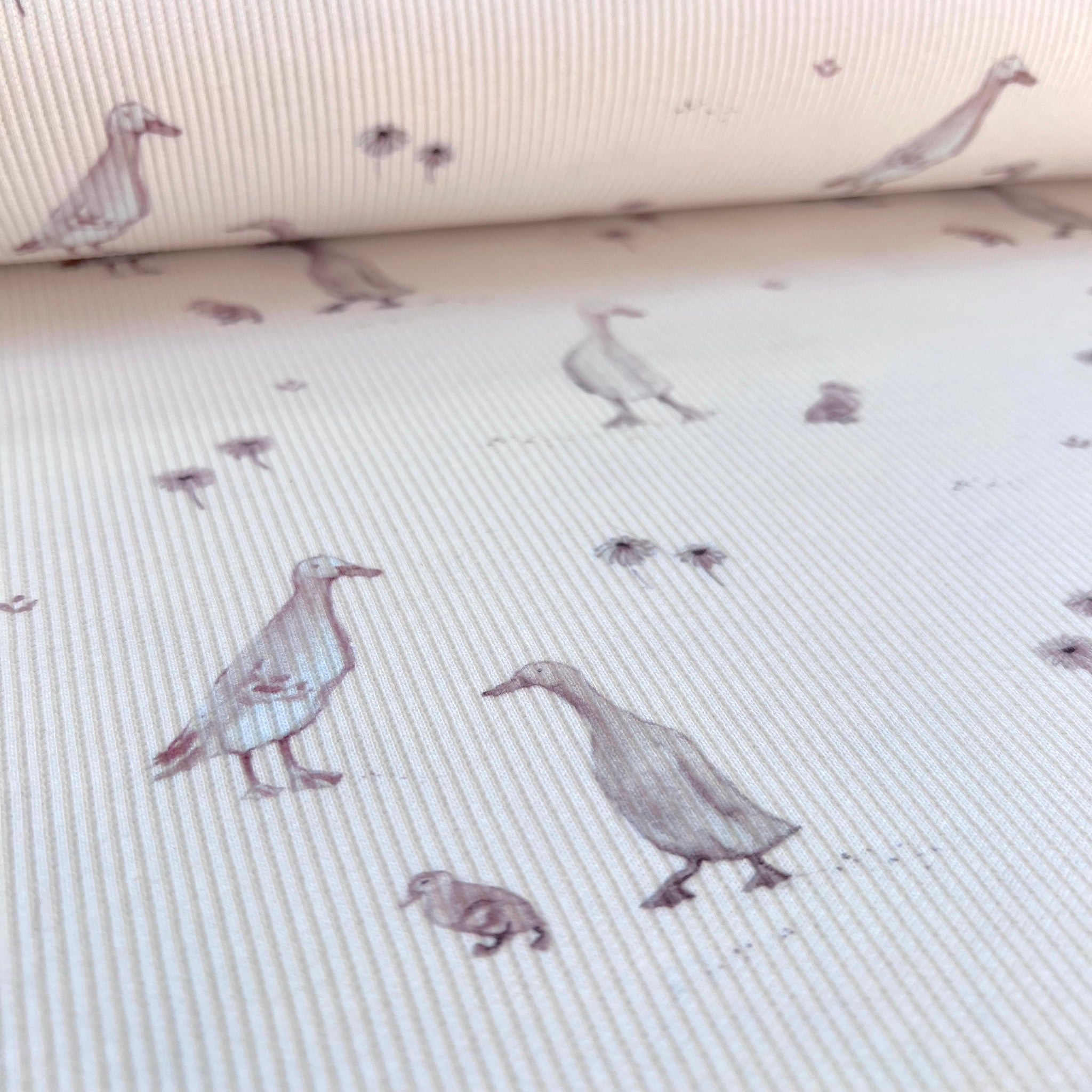 Little Goose - Premium Baby Rib Jersey - Gänse Print