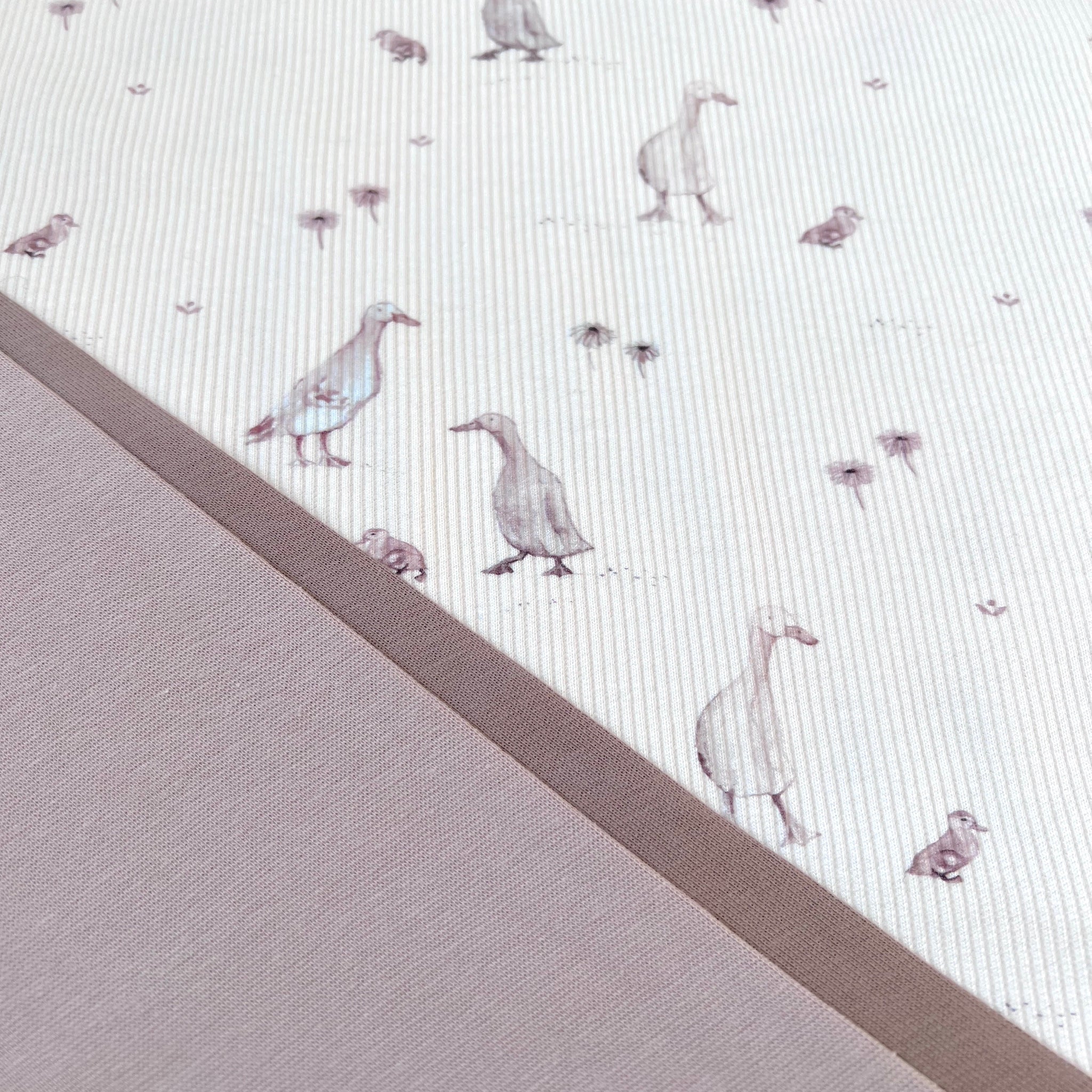 Little Goose - Premium Baby Rib Jersey - Gänse Print