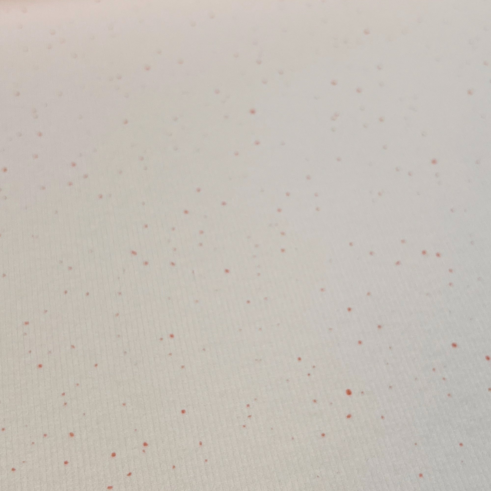 Little Sprinkles - Premium Baby Rib Jersey