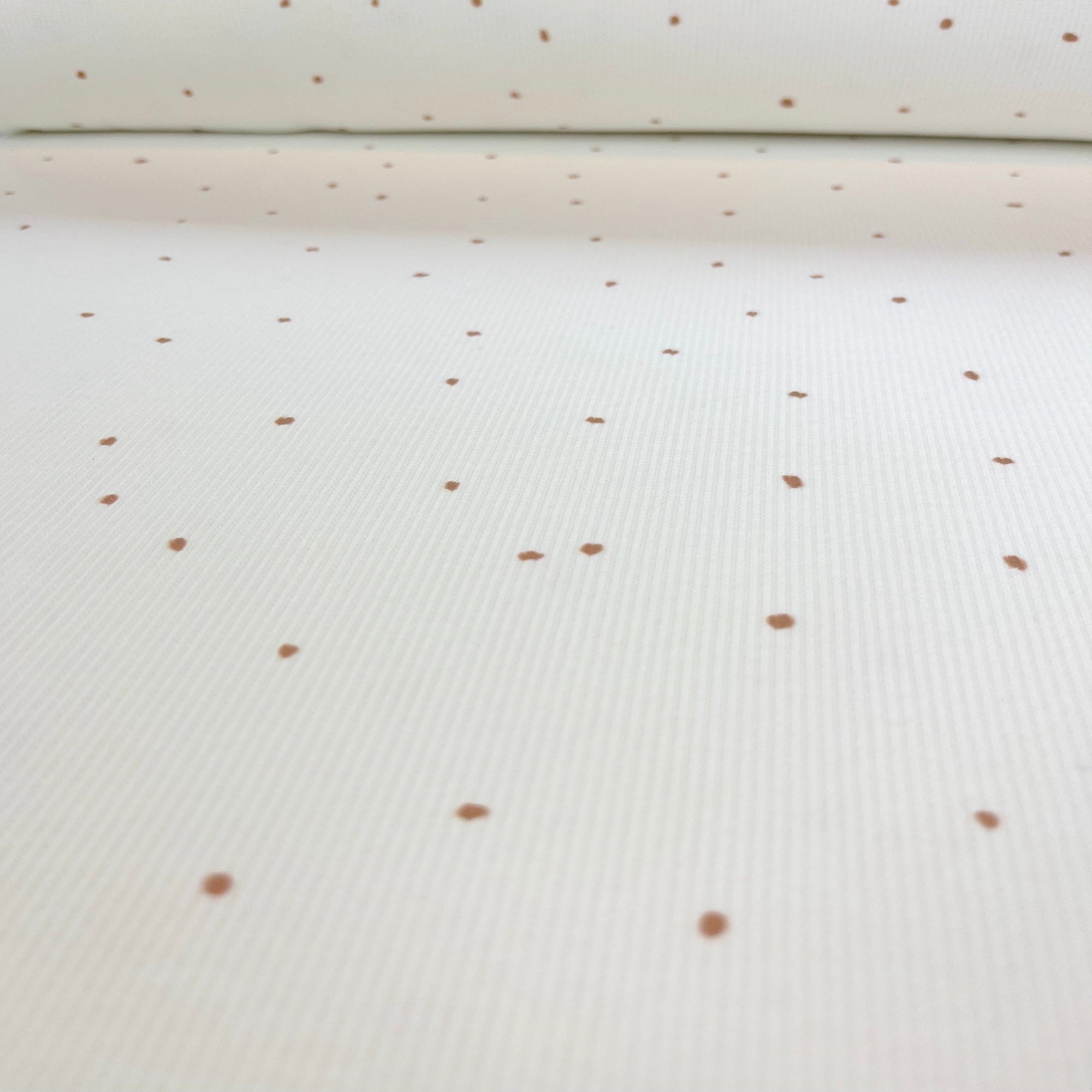 Little Dots - Premium Baby Rib Jersey - Punkte