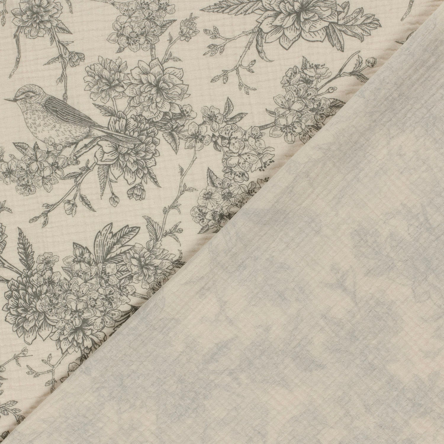 Pirol Gesang - Premium Musselin