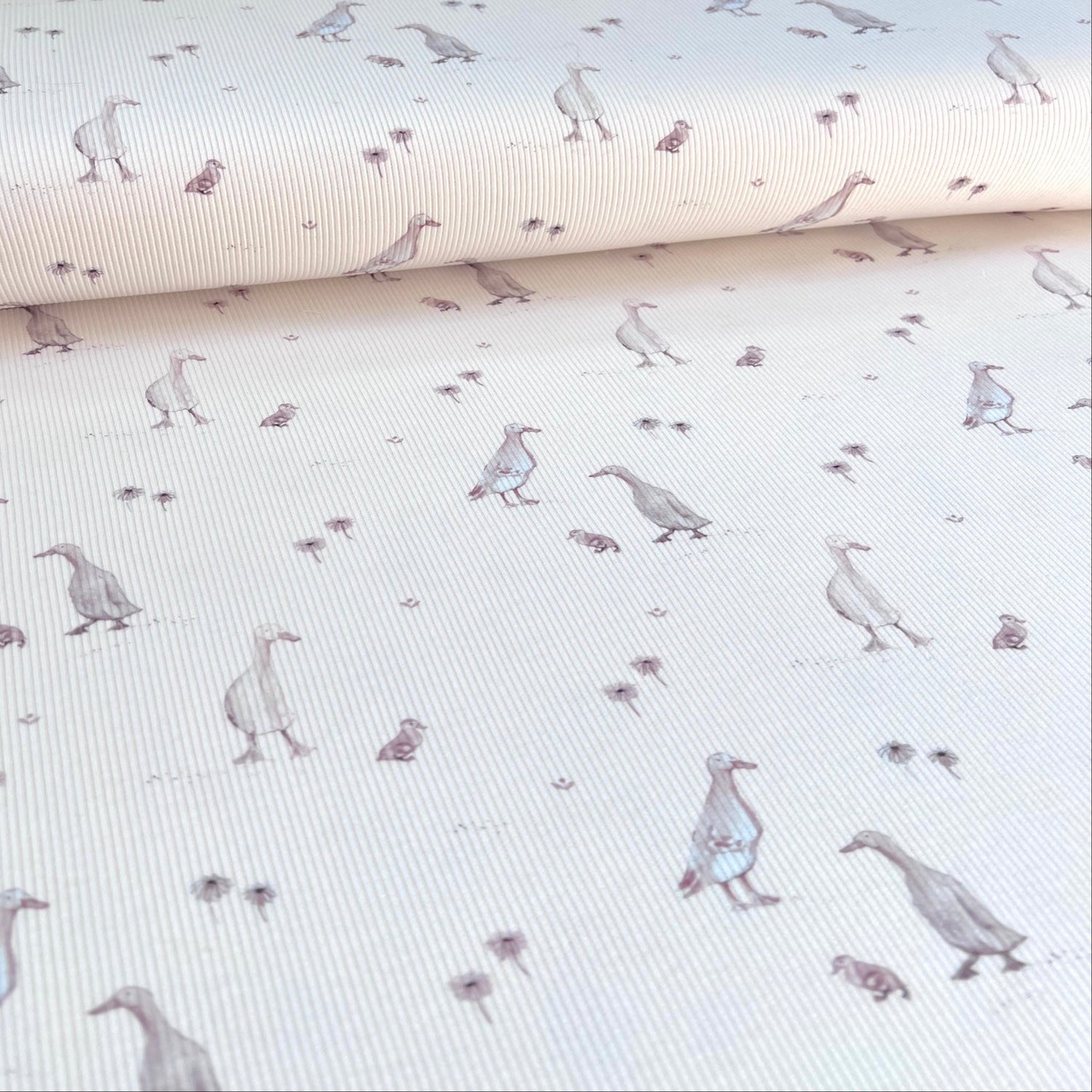 Little Goose - Premium Baby Rib Jersey -  Gänse Print