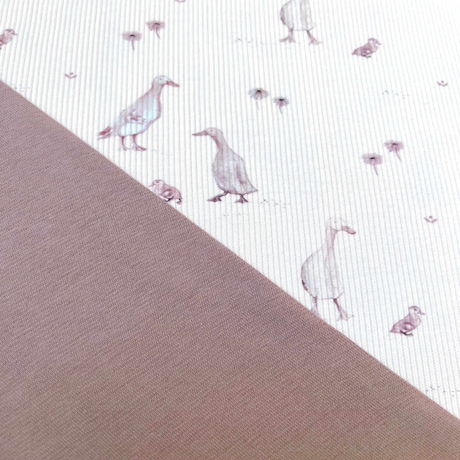 Little Goose - Premium Baby Rib Jersey -  Gänse Print