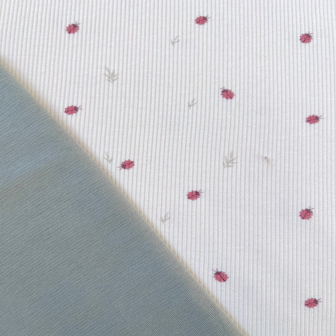 Ladybug - Premium Baby Rib Jersey - Marienkäfer